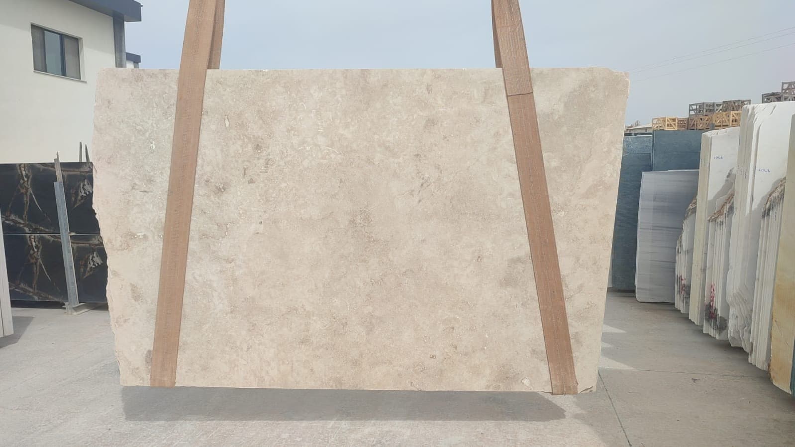 Ivory Cream - Photo 1