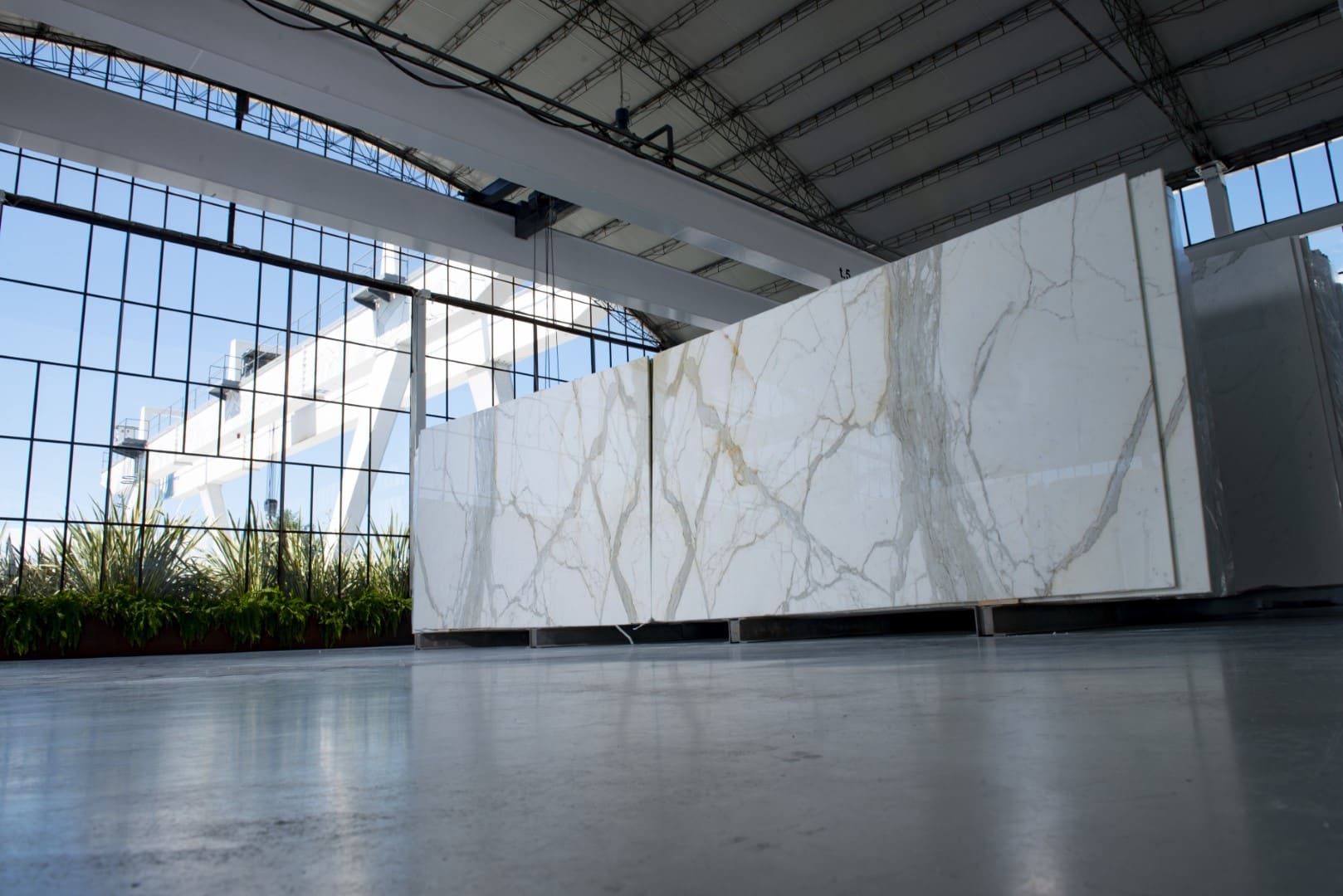 Calacatta Family marble slab