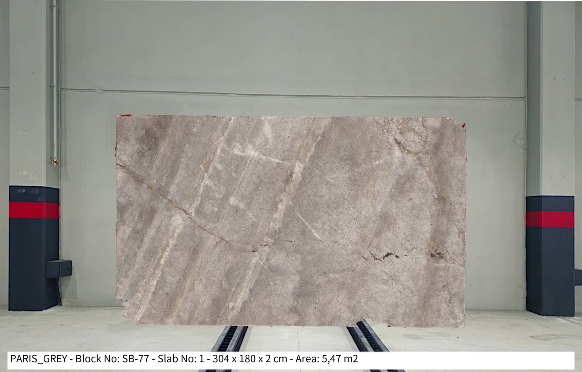 PARİS GREY Polished marble slab in Silver