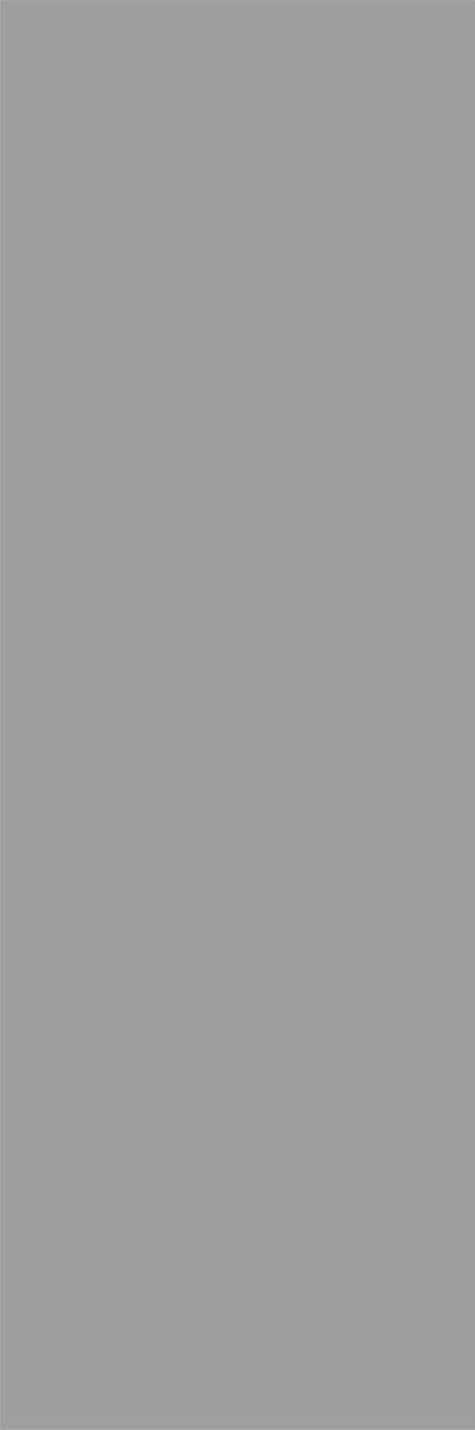 Color 2.0 Taş Gri 10×30 ceramic_slab slab in Taş Gri